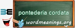 WordMeaning blackboard for pontederia cordata